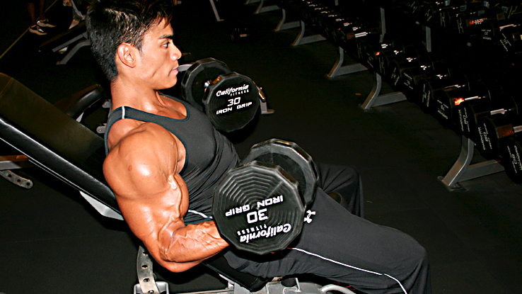 Incline Bench Dumbbell Curls