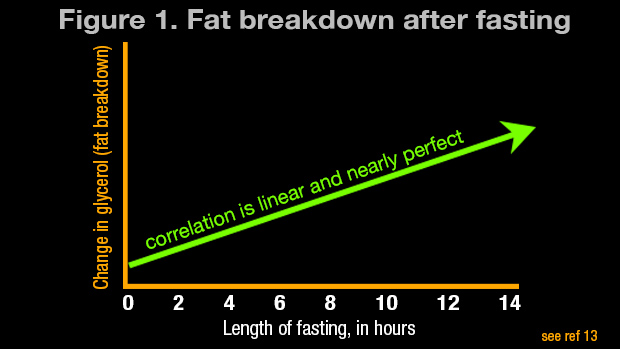 Fat-Breakdown-after-Fasting
