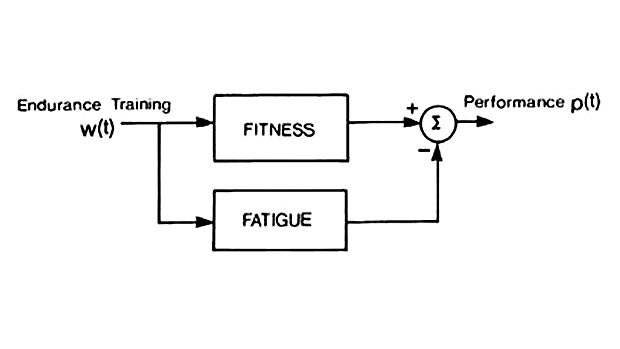 Fitness-Fatigue