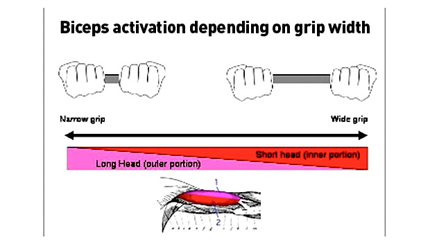 Grip-width