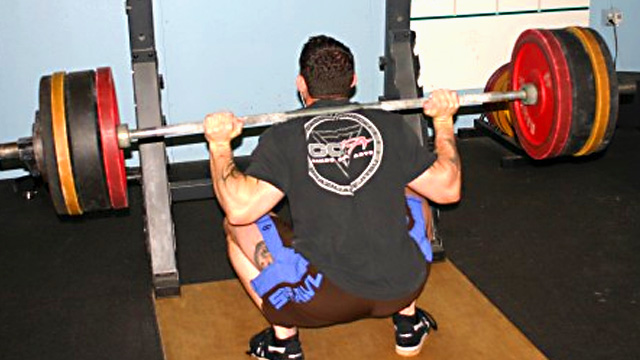 Hip Structure and Squats