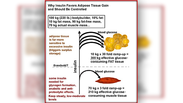 Insulin Compart