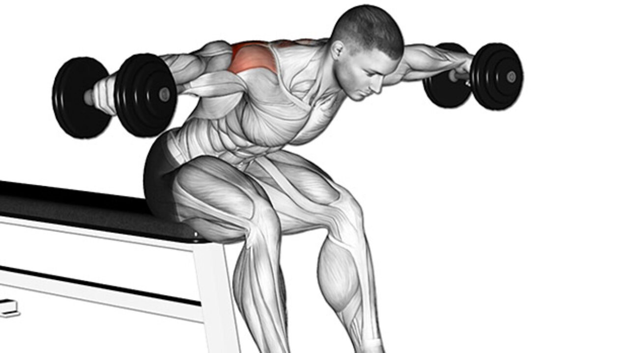 Prone rear delt raise sale