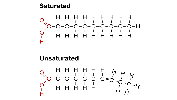 Saturated and Unsaturated Fats