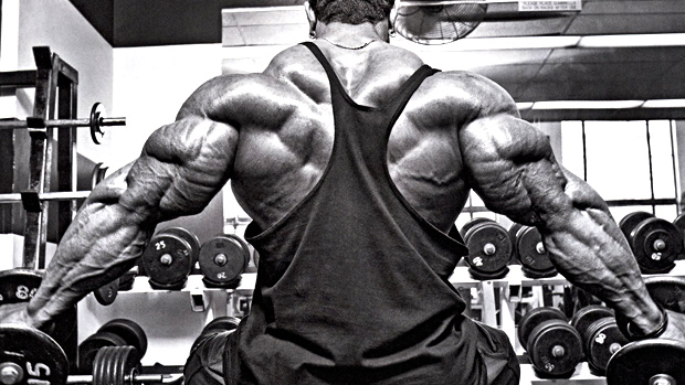 Triceps And Traps