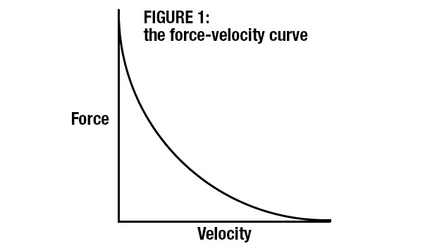 force-velocity curve