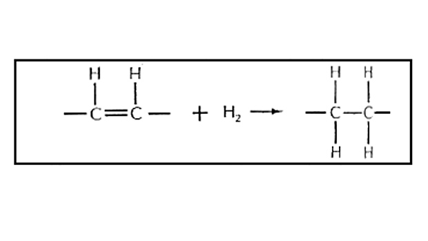Hydrogenation Reaction