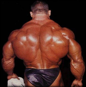 muscular-back