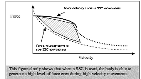 theoretical force-velocity curve