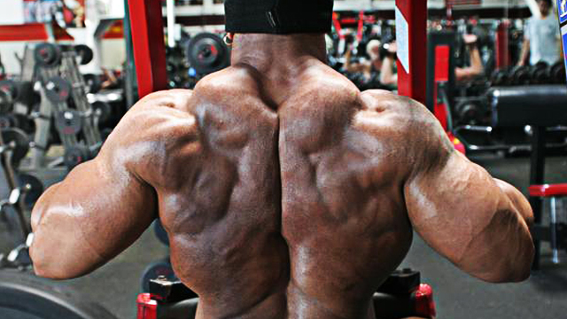 Upper Back Strength