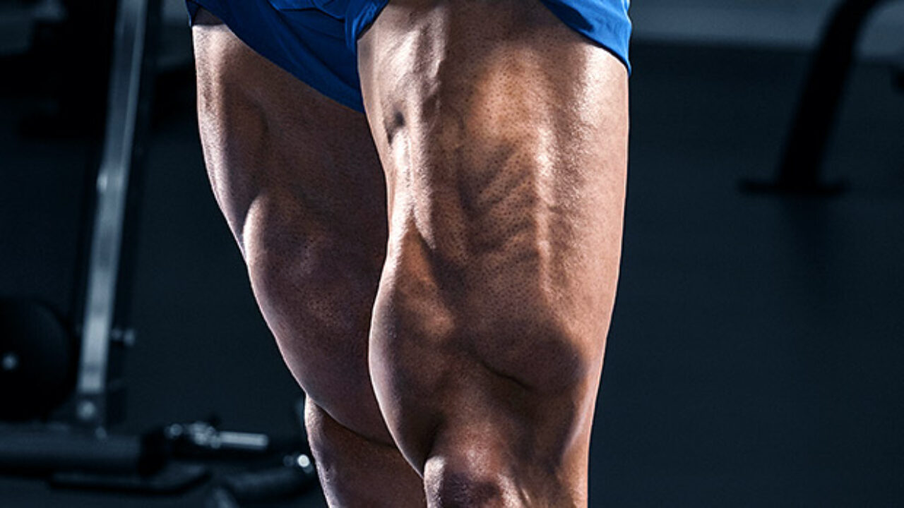 Body weight leg extension discount