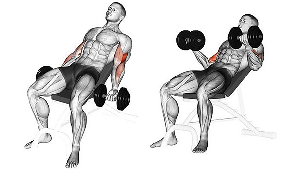 Incline Dumbbell Bicep Curls