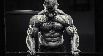 The Modified Push-Pull-Legs Split