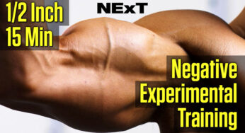 The NExT Arm Experiment