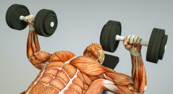 6 New Chest Workout Tips for Fast Gains